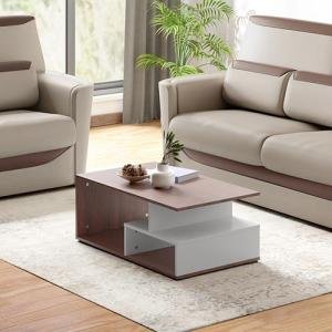 Ewa Engineered Wood Coffee Table